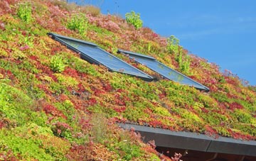 Styants Bottom living roof systems